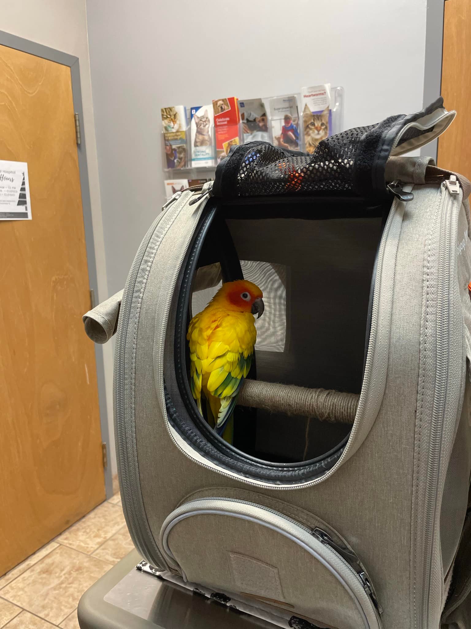 480409569_1030425155789529_3238075686225334198_n