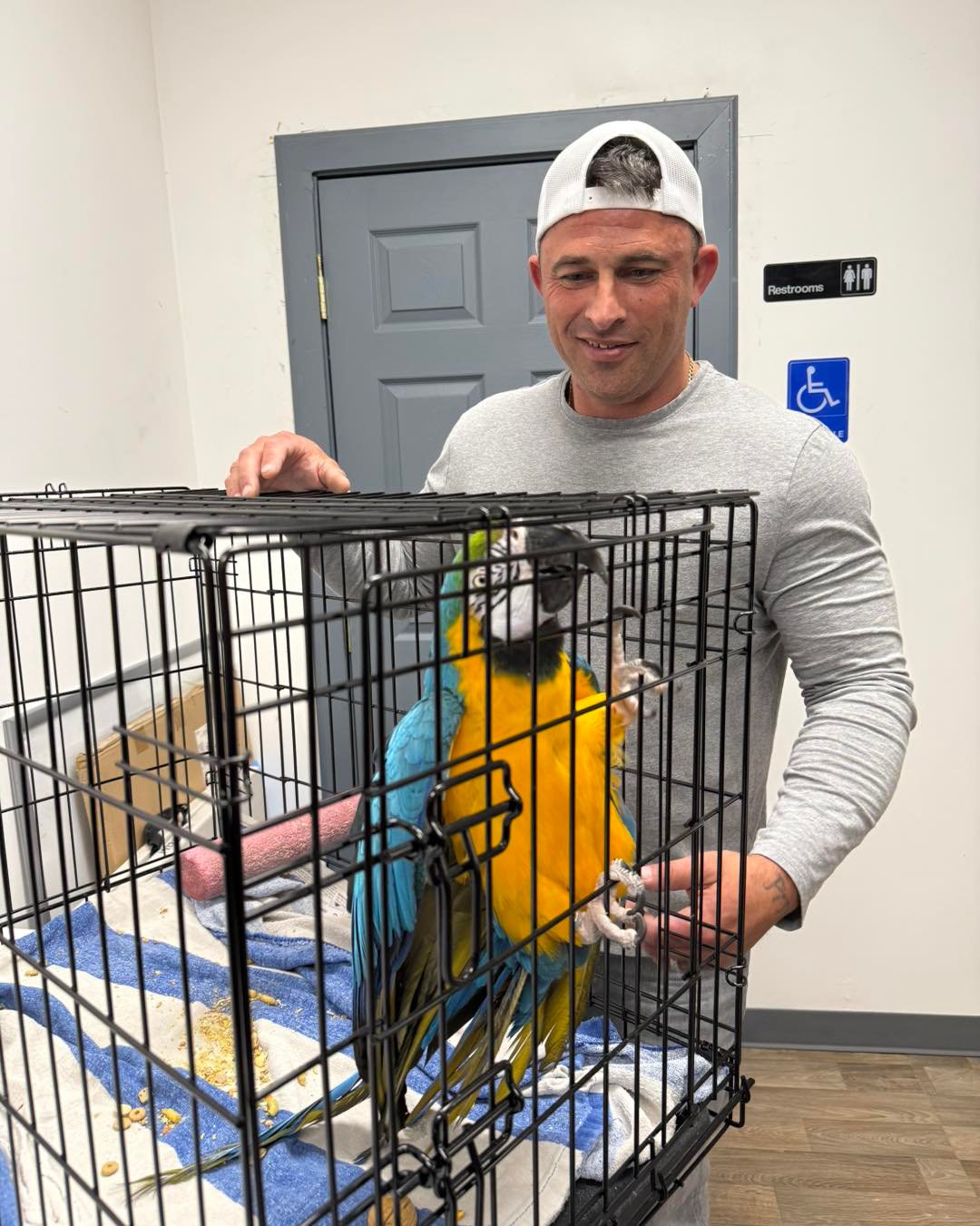 500643827_1118965873598172_5738735805778620545_n