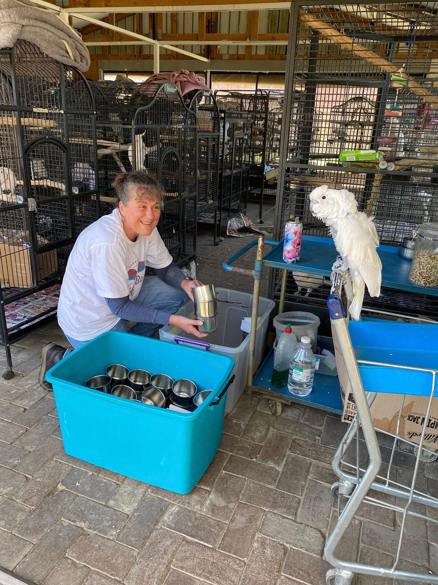 500780164_1144317144405277_8339354673649987885_n