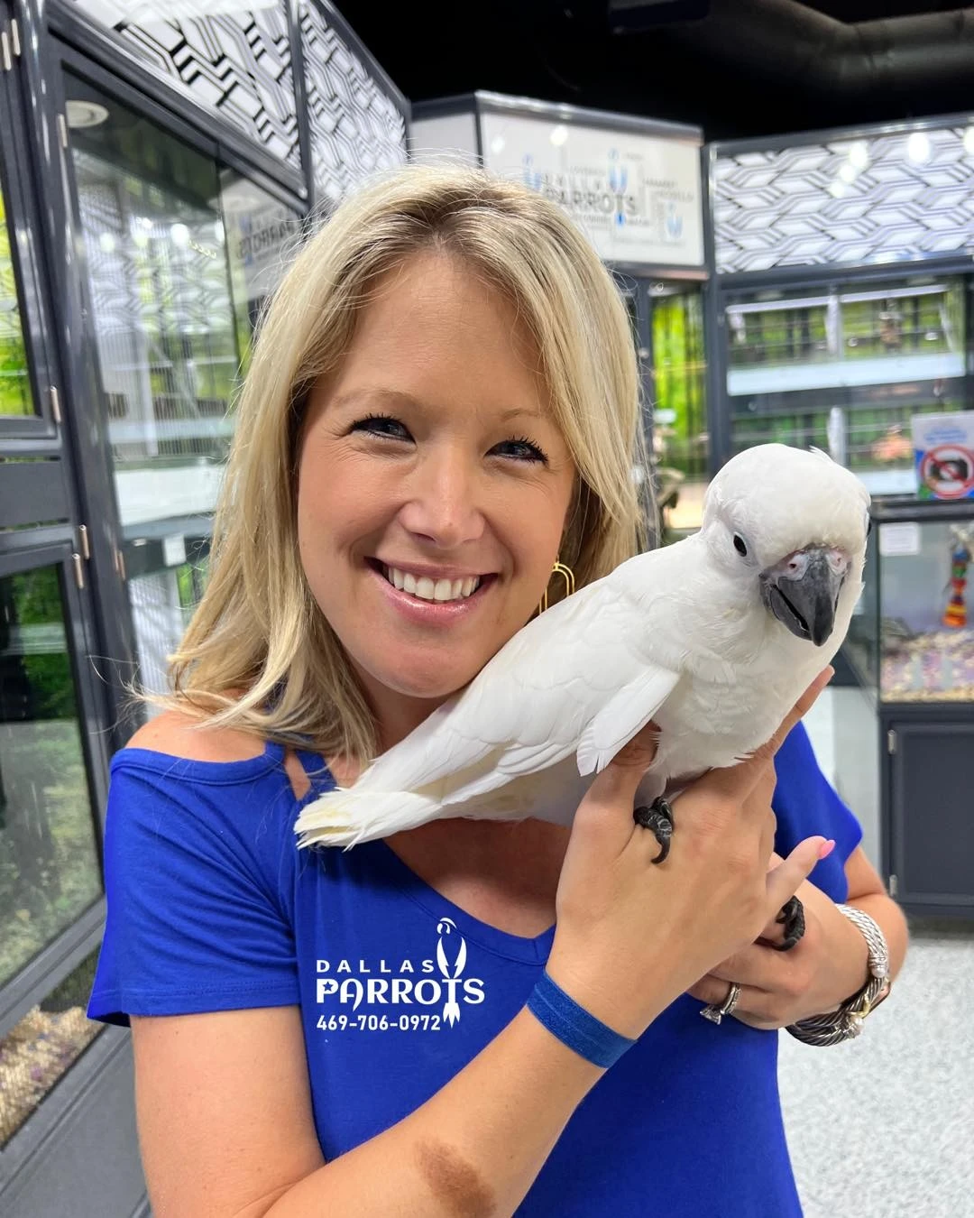 dallasparrots_1656097313_2867874581323989781_37150692198 (1)